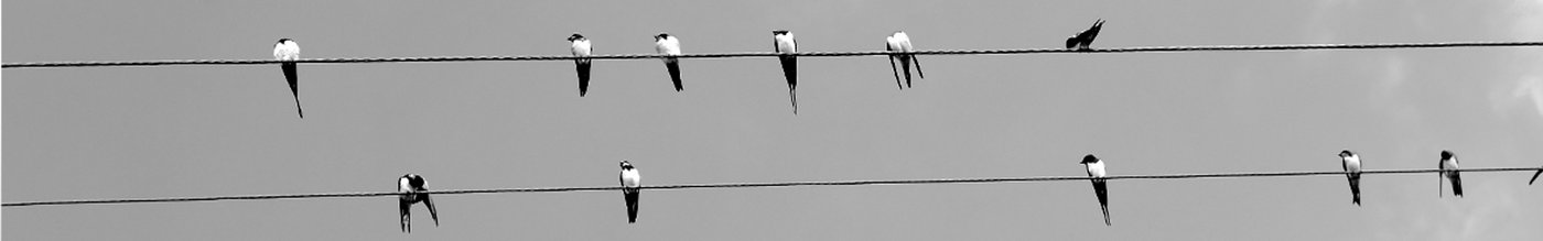 Organisation & Personal Organisation & Personal
